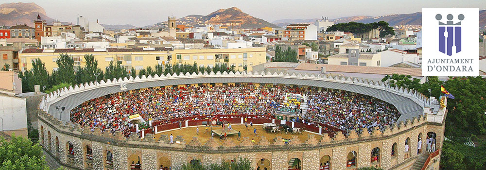 Ajuntament d'Ondara Imagen del sitio